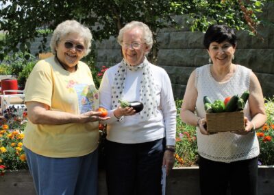 assisted living activities